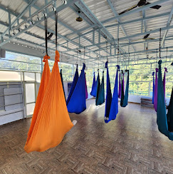Aerial Hammock (1.5 Hours) – Rishikesh — photo 4