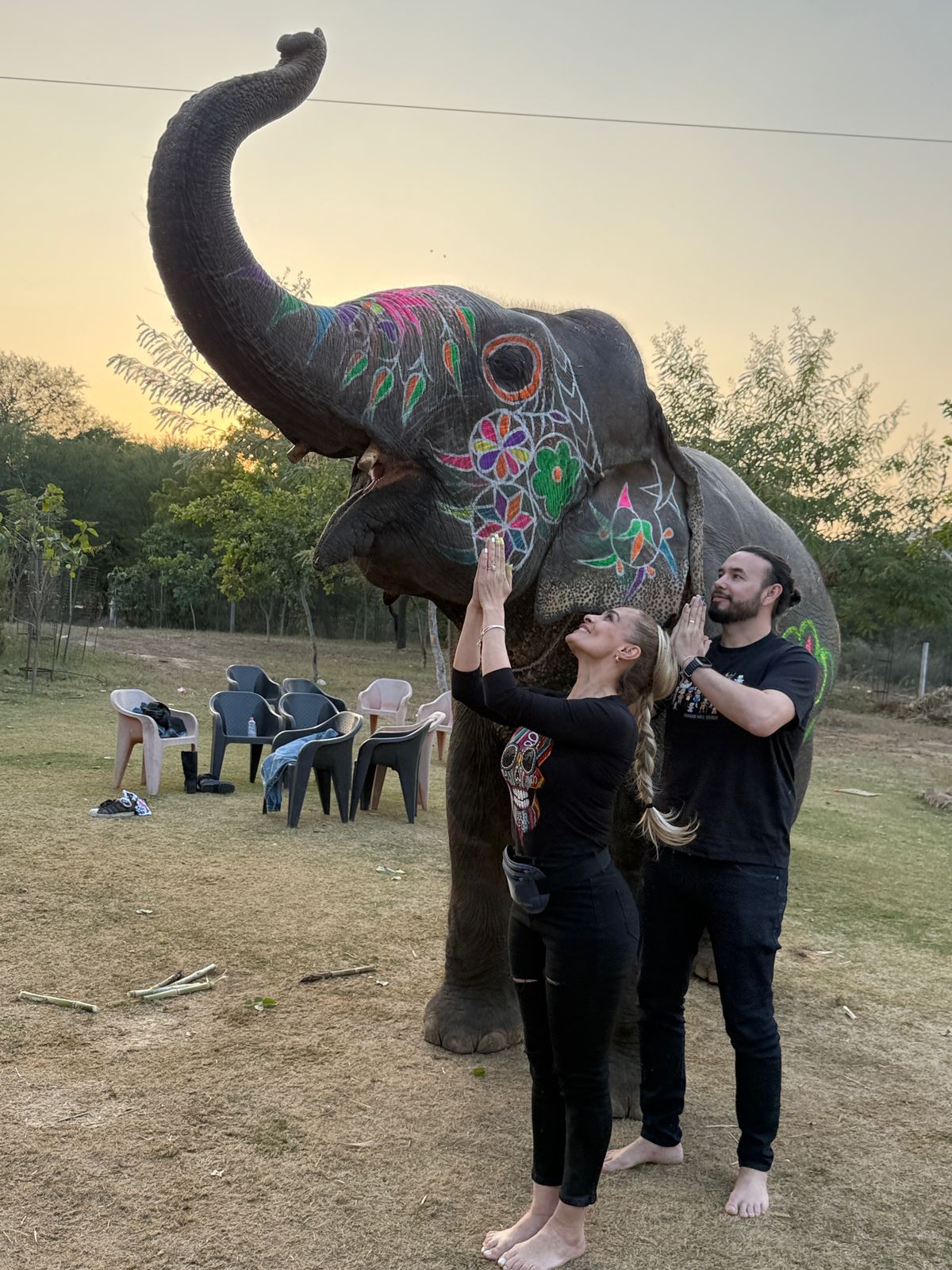 Best Elephant sanctuary jaipur – Adventure activities