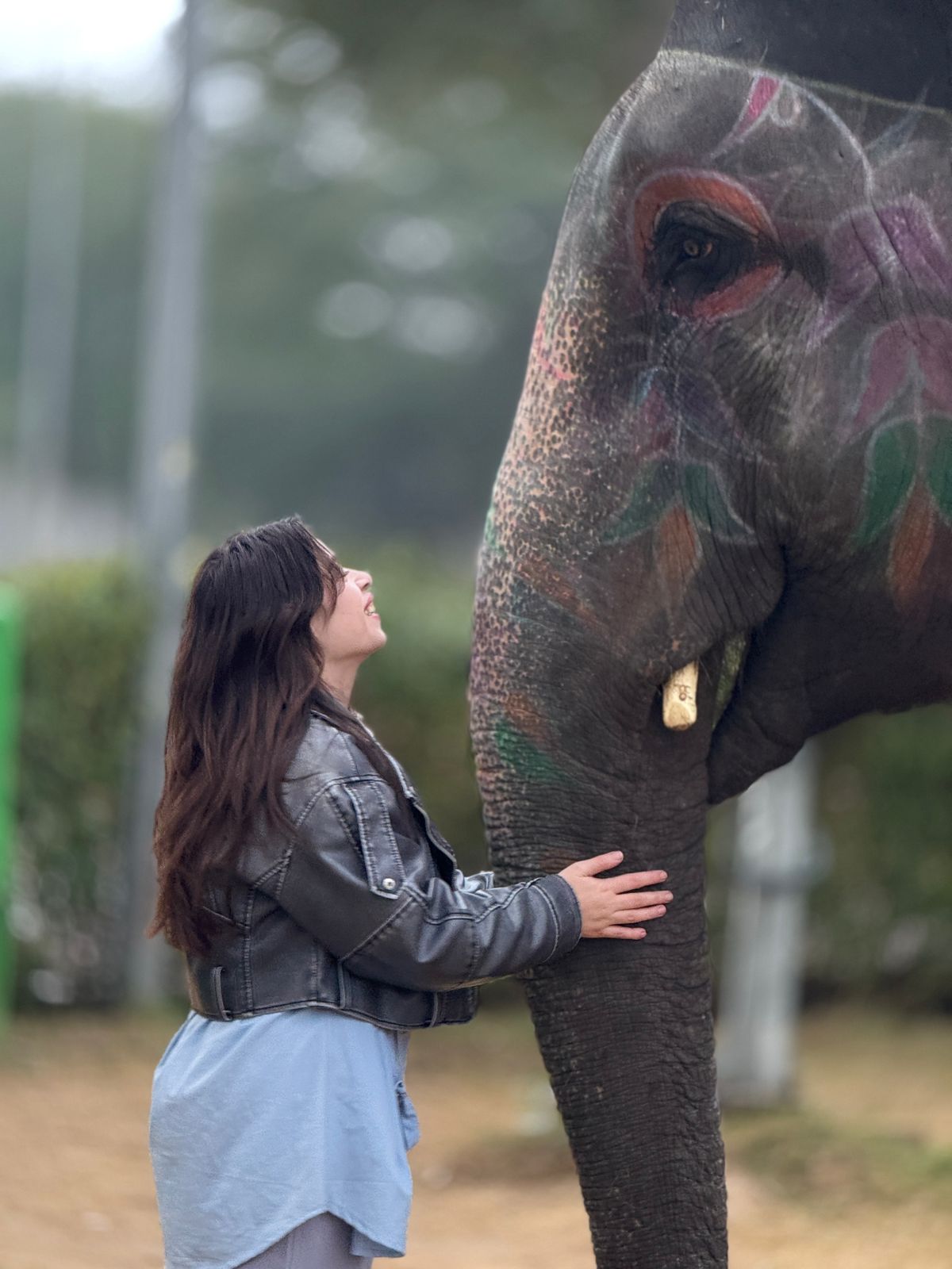 Elephant experience activity – Jaipur — photo 1