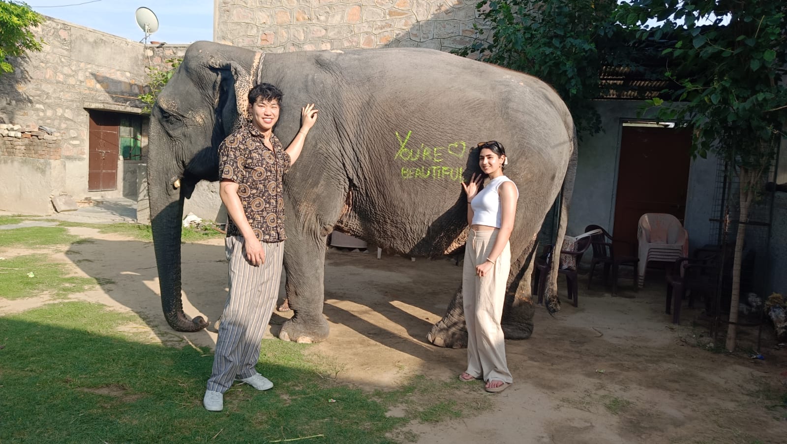 Elephant experience activity – Jaipur — photo 4