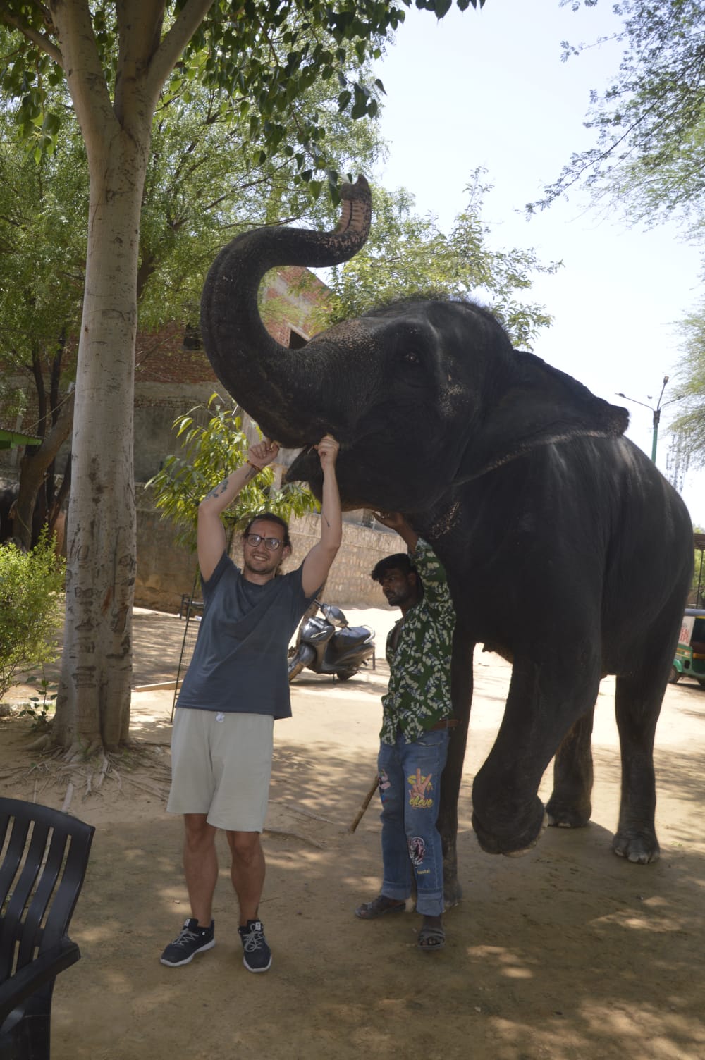 Elephant experience activity – Jaipur — photo 6