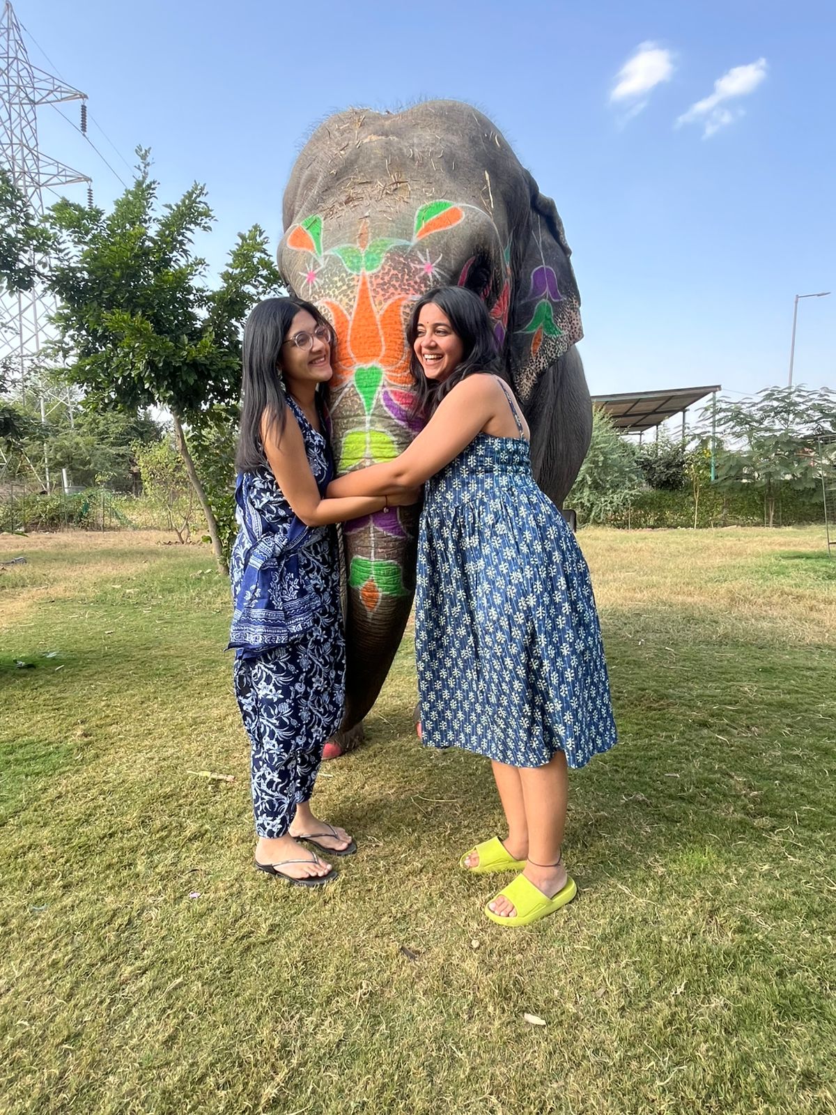 Elephant experience activity – Jaipur — photo 7