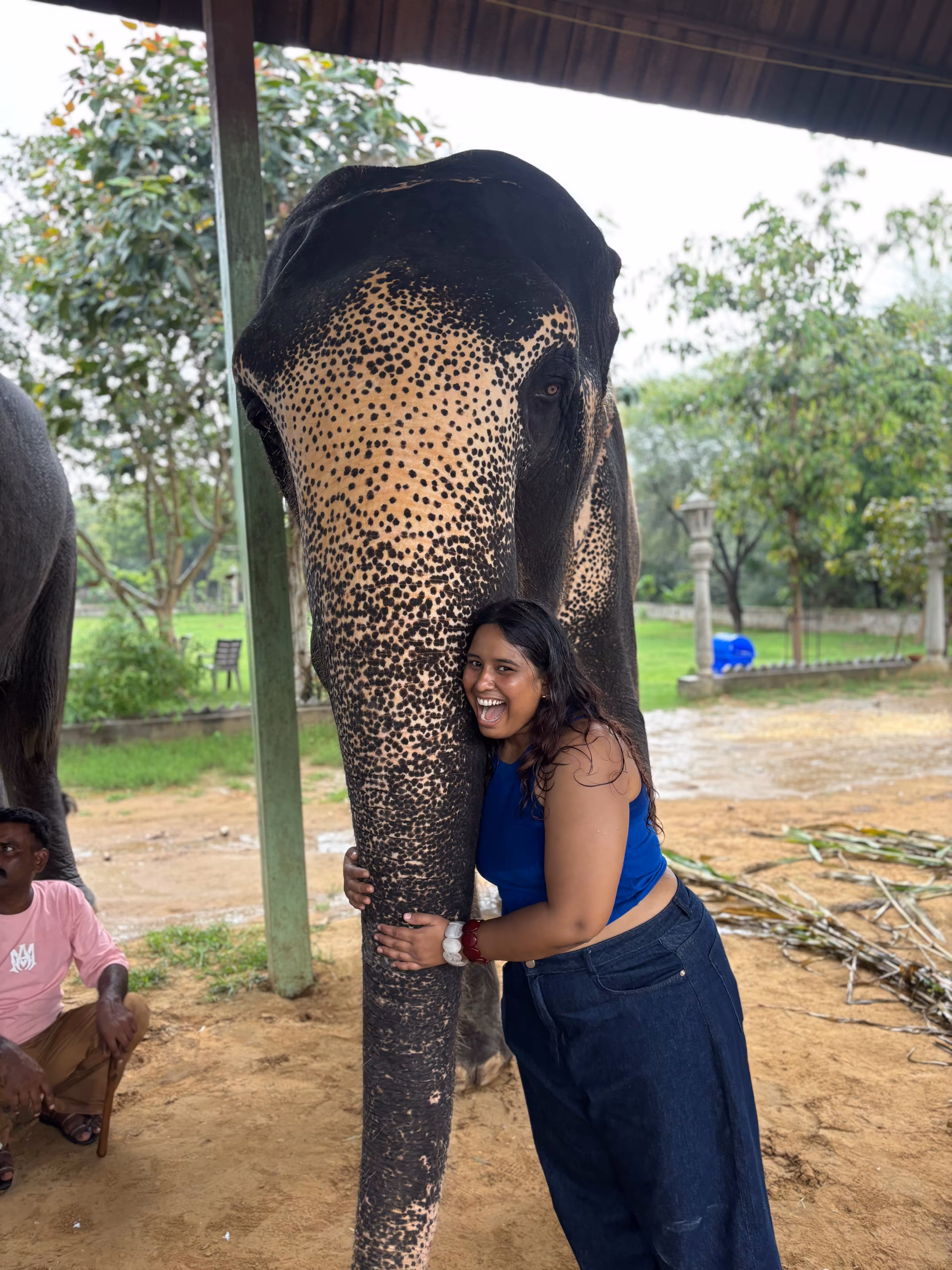 Long Ride - Hathi Gaon Elephant Ride — activity photo