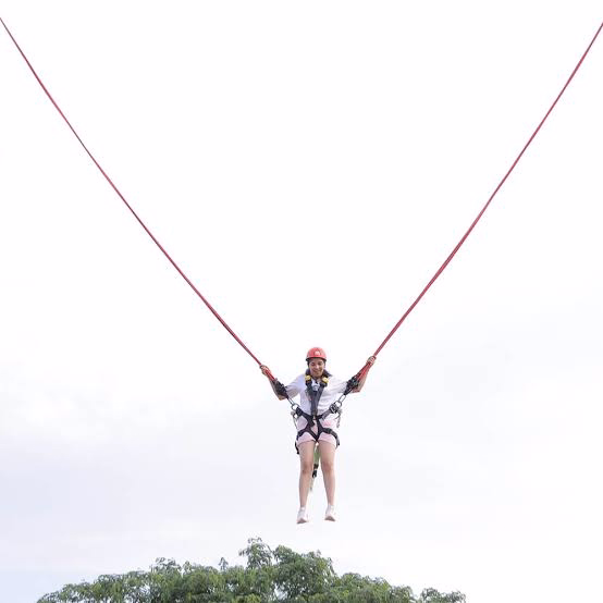 Reverse Bungy — activity photo