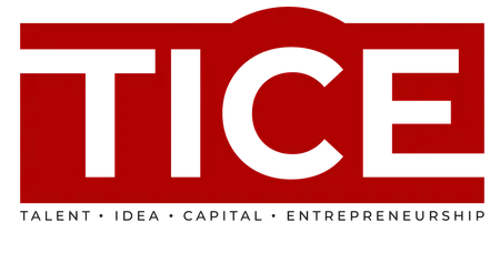 TICE News logo