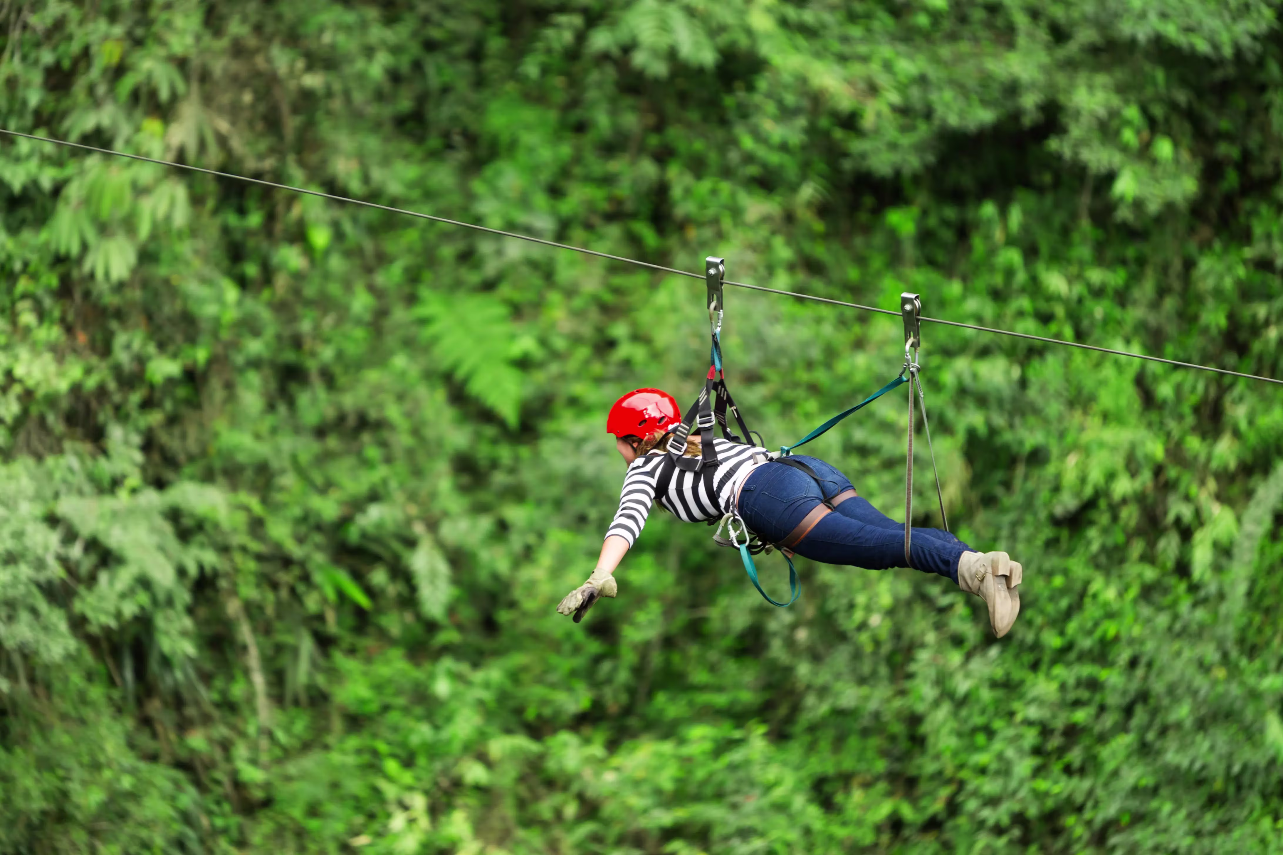 Best Zip Line for First-Timers, best zip line experiences in India